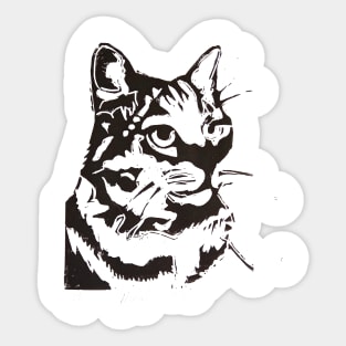Marco the Cat Sticker